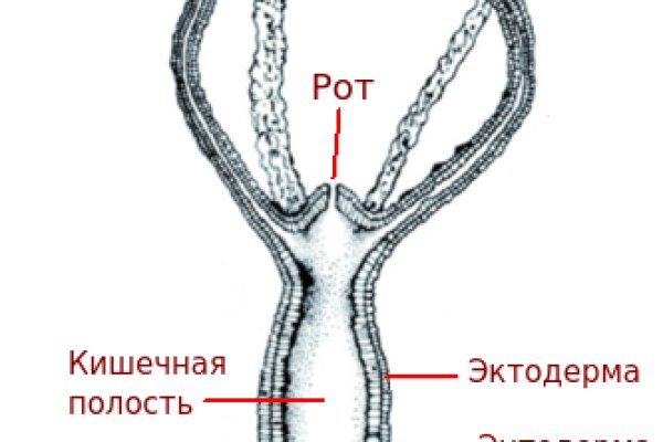 Кракен сайт 2krnk