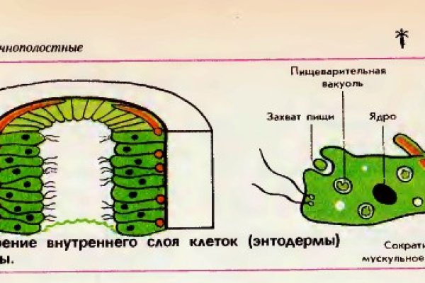 Кракен даркнет войти