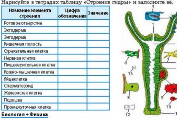 Ссылка на даркнет в тор