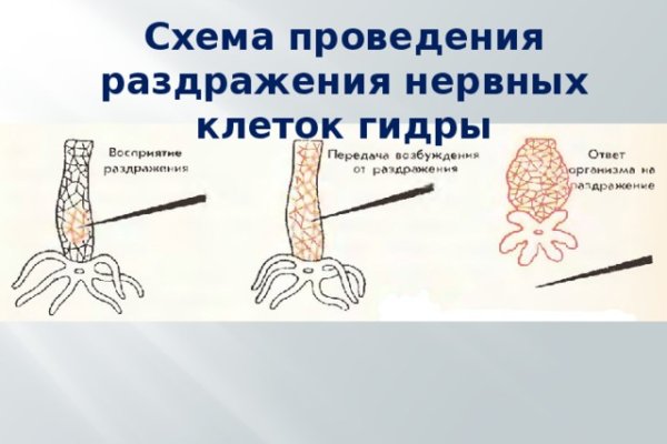 Kraken вход и ссылки