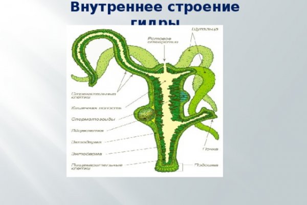 Кракен вход официальный сайт