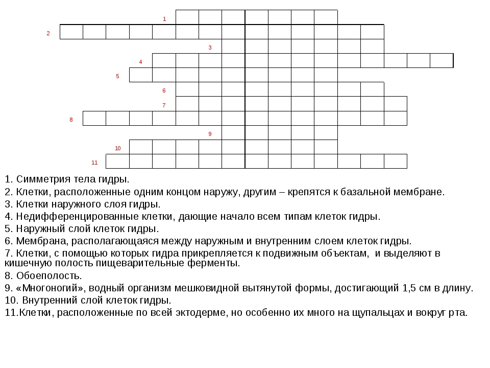 Украли аккаунт на кракене что делать