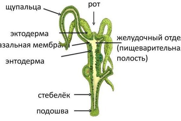 Kraken сайт kraken torion